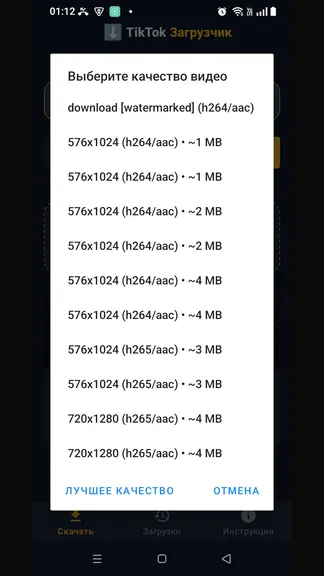 История скачанных видео из Тик Ток в приложении TikTok Video DownLoader